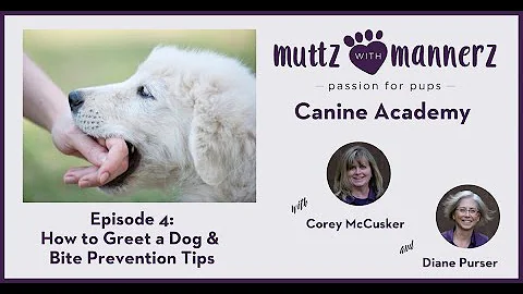 Episode 4: How to Greet a Dog & Bite Prevention Tips