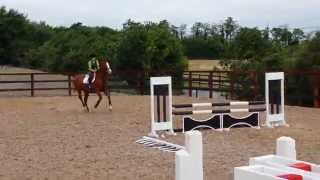 Shadow & Rebecca Monksfield