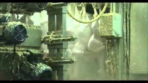 S.B. Impianti Counter-Rotating Primary Picker for Turkey