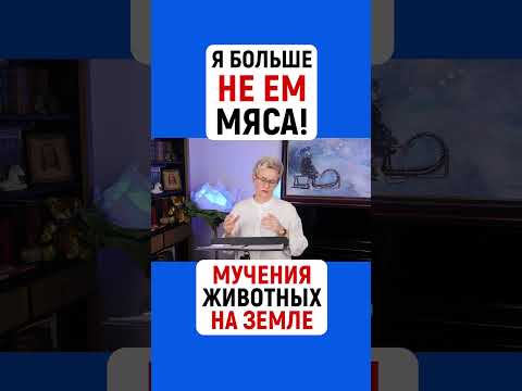 Я БОЛЬШЕ НЕ ЕМ МЯСА! МУЧЕНИЯ ЖИВОТНЫХ НА ЗЕМЛЕ | НАТАЛЬЯ ГРЭЙС #shorts