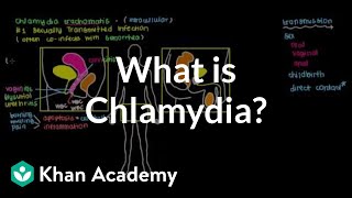 What is chlamydia? | Infectious diseases | NCLEXRN | Khan Academy