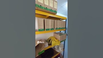 60, CONCEPT Archives - before & after #boxfilingsystem #howtokeepdocuments #conceptarchives