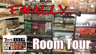 Tom's Big Spiders ROOM TOUR (Finally!)