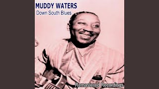 Video voorbeeld van "Muddy Waters - Down South Blues"