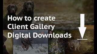 How to create photography client digital downloads - SmugMug by Rebecca Goutorbe 296 views 1 year ago 3 minutes, 54 seconds