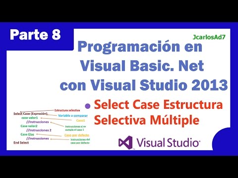 Video: ¿Qué es el caso selecto en Visual Basic?