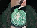 I'm a Mint Party member... Please attack my weakest point!!!#SnowflakeCrispy#CrispyChocolate