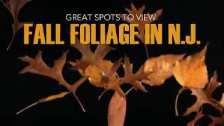 Great spots to view fall foliage in N.J.