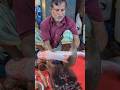 Amazing Cutting Skills || Big Carp Fish Cleaning & Cutting By Expert Fish Cutter