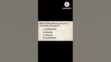 Botany Algae MCQ/Mermaid