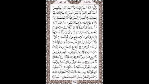 القرآن الكريم بصوت الشيخ سعد الغامدى صفحات  صفحة رقم ( 38 )