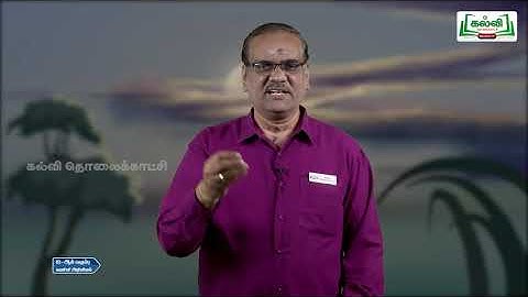 Class 12 | Computer application | PHP Function and array | Q&A | KalviTv