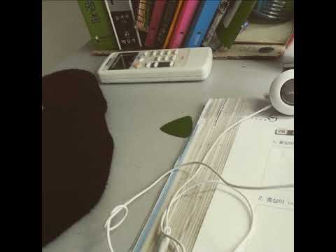 RUN 한 RUN HAN Short Ver