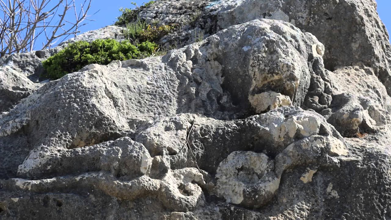 Goktepe İkizin ve Uğurlu