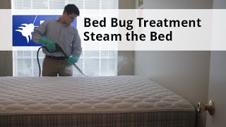 Bed Bug Treat Step 2 Major Pest Guide