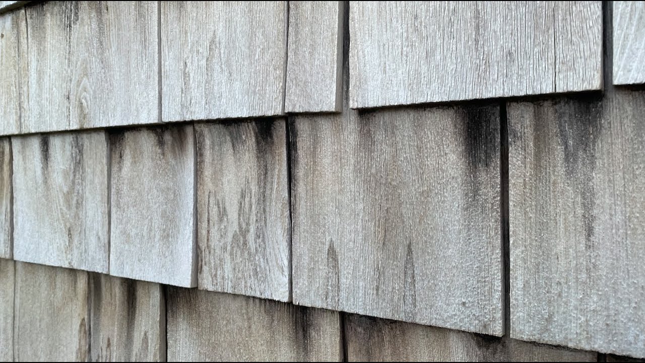 Cleaning Cedar Siding: Wrong Approach Here / A Cautionary Tale