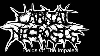 Carnal Necrosis - Fields Of The Impaled [Updated] (lyrics in description)