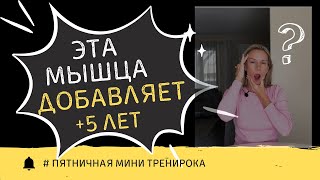 # Пятничная мини тренировка. Работа с височной мышцей + птерион
