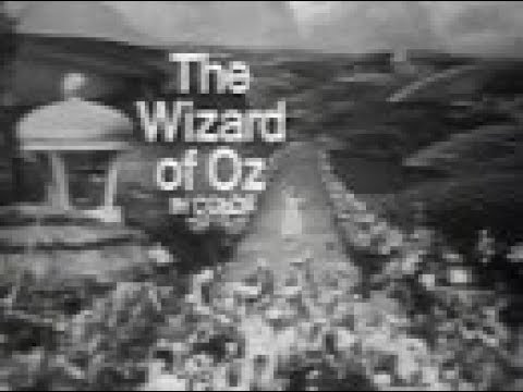 fuzzy dice WMAQ Channel 5 -