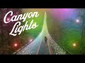 Canyon lights at capilano suspension bridge park