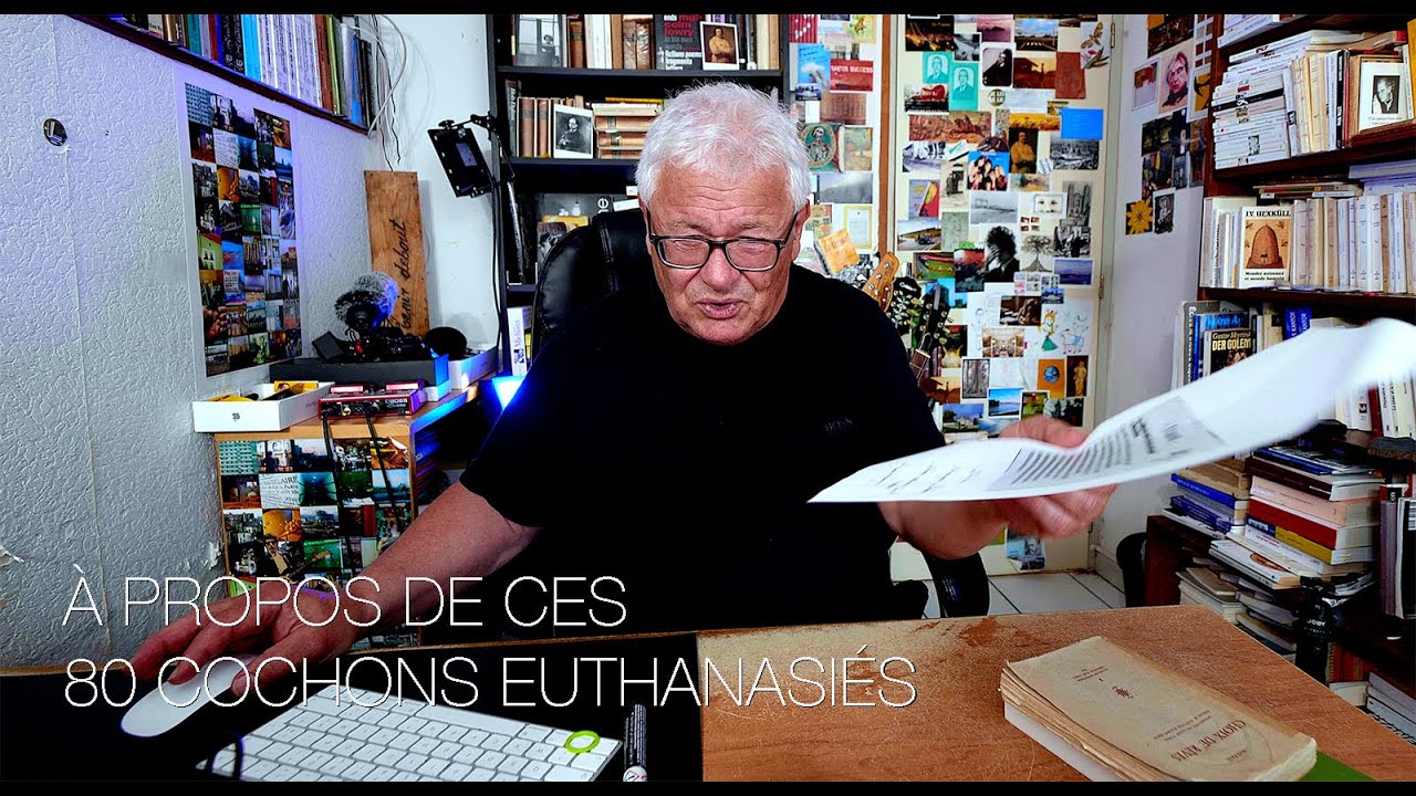 dans le cochon tout est bon (sauf nous) - YouTube
