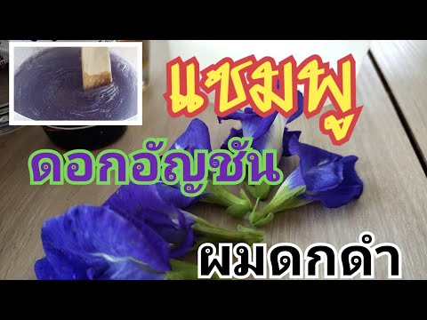 แชมพู​ อัญชัน​ ผมดกดำ