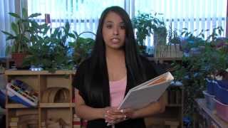 Celebrity CompSAT Home Page - Keys to Reflection and Inquiry Profile