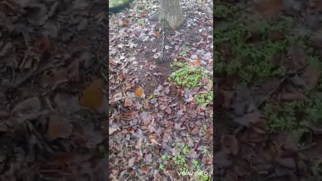 Trapper Dave Vlog 12-8-25 and Etsy stock pics 