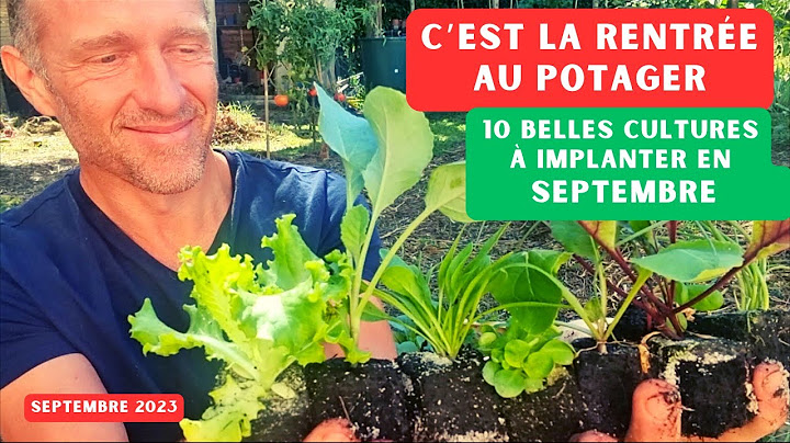 10 belles cultures à implanter en septembre au potager