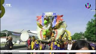 DIRUBUNG SEMUT || PUTRA PA'I MUDA || KERTAWINANGUN || 2022