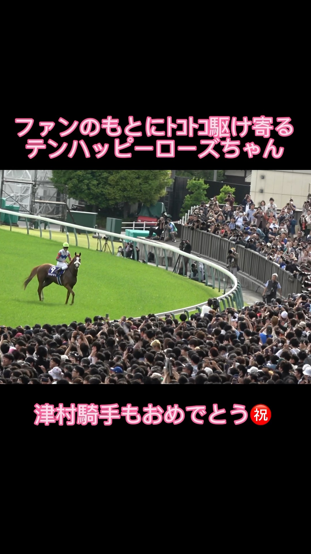 テンハッピーローズちゃんの可愛いファンサ【津村明秀】 #shorts #競馬