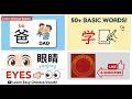 🌟Learn Chinese: Basic Vocabulary, Pronunciation and Translation🌟