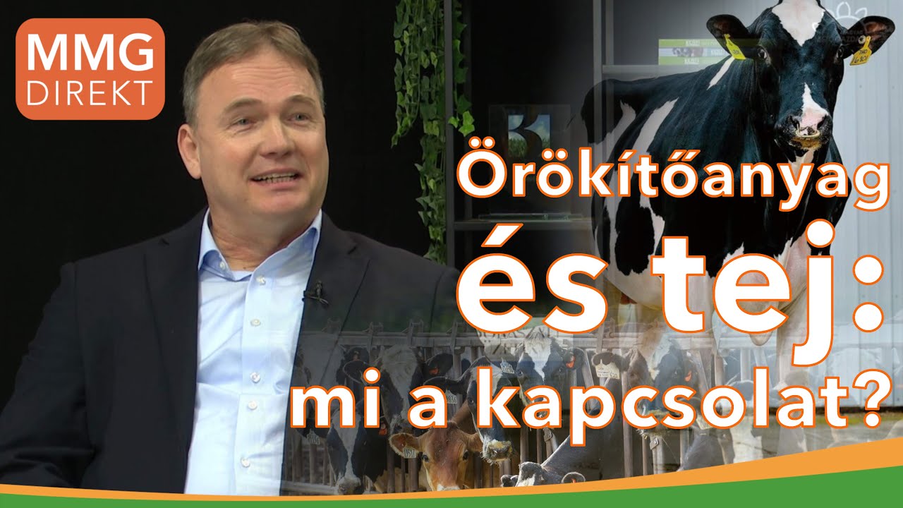 Örökítőanyag és tej: mi a kapcsolat? | Szilágyi László, cégvezető | Holstein Genetika