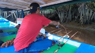 UNBELIEVABLE FISHING TRIP, 3 RODS HIT BY GIANT PRAWNS AT ONCE UNTIL MY HANDS WERE SHAKING