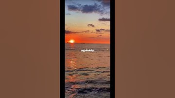 القرآن الكريم [سورة آل عمران] القارئ: عمر بن ضياء الدين  #quran #سورة_آل_عمران#fyp #foryou#fy#explor