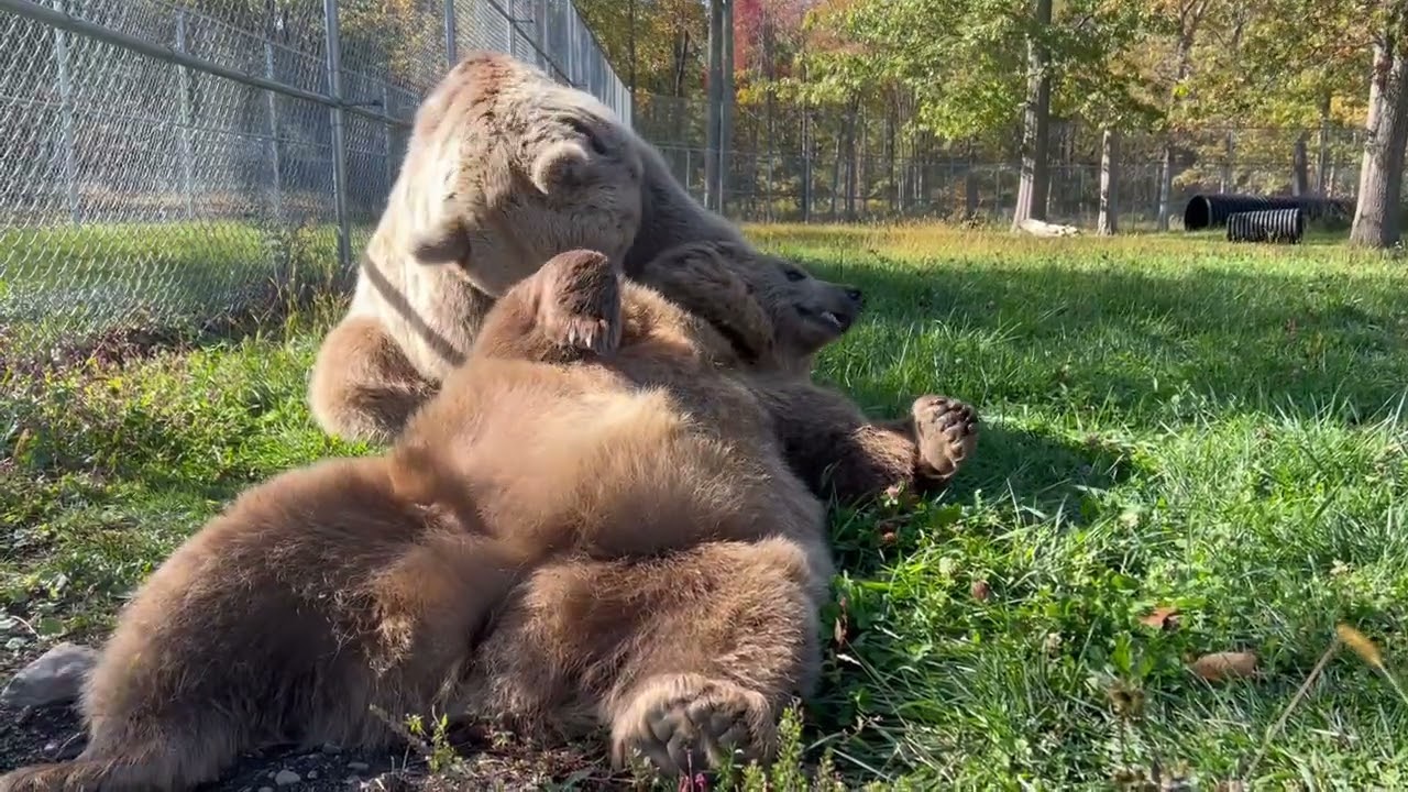 Jenny trying to relax while Amy's busy being the CEO of Shenanigans Inc.