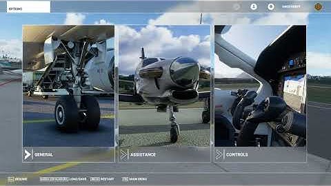 Microsoft Flight Simulator 2020 | Trees Bug Fix