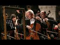 Pyotr ilyich tchaikovsky the swan lake 4k  makris symphony orchestra predrag gosta