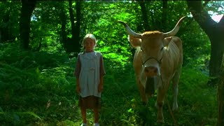 Vacas 1992