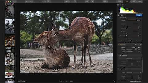 New Luminar with Libraries: Star Rating, Color Labeling & Favorites Tagging