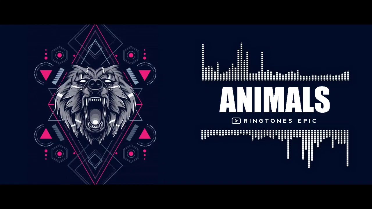 Maroon 5 Animals Ringtone Ringtones Epic YouTube