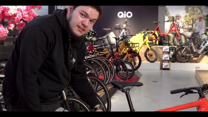 Welches Abus Fahrradschloss e-Bike? 🔐, ABUS Rahmenschloss vs. ABUS  Kettenschloss