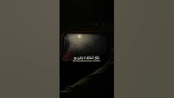 #سَلَامٌ_عَلَيْكُمْ_لا_نَبْتَغِي_الْجَاهِلِينَ_سوره_القصص_ايه55#القرآن_الكريم#ياسر_الدوسري#صوت_جميل