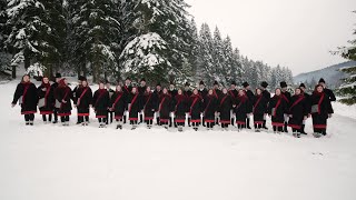 Bună sara la fereastră - Colinde „Ai lui Ștefan, noi oșteni”