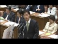 2016年10月27日_丸山穂高_TPP特別委員会にて質疑