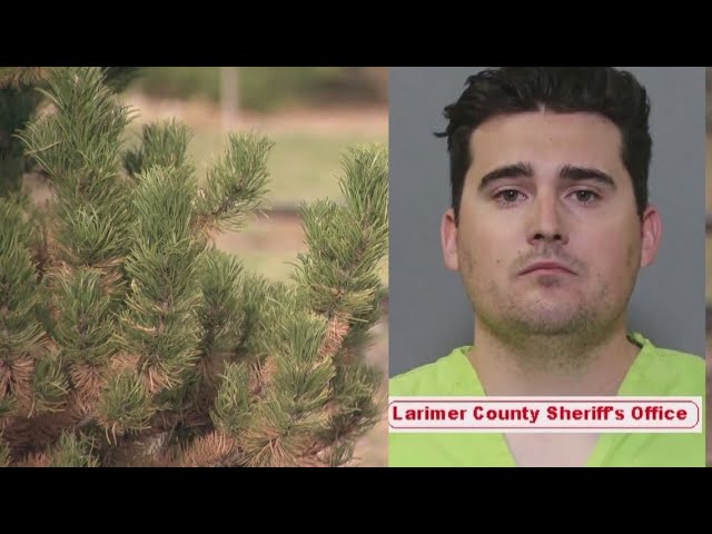 Latest Headlines | Former Colorado police officer sentenced for sexually assaulting teen in 2023
