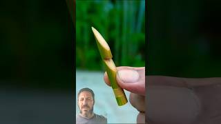 Arma Com Bambu Resimi