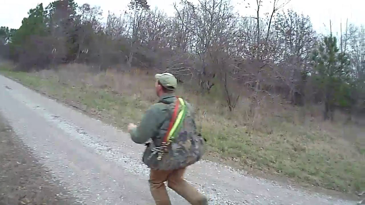 Mississippi hog dogs YouTube