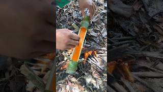 Primitive Skills: Natural Bamboo Pot for Cooking in the Wild