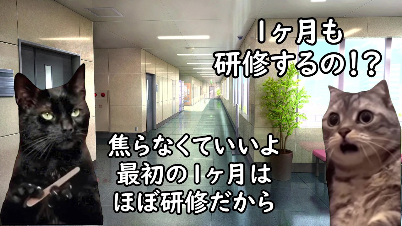 ブラック企業とホワイト企業の仕事の教え方の違い【猫ミーム】